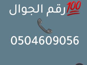 دينا طش الاثاث القديم بالرياض التخلص 0504609056