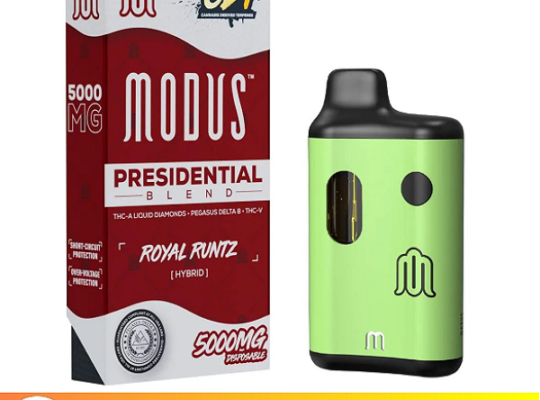 Modus Presidential Blend Disposable 3001597100